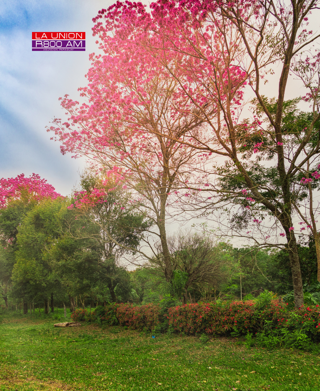 Viernes 13: pronostican jornada calurosa con máximas de 38 °C y chaparrones puntuales